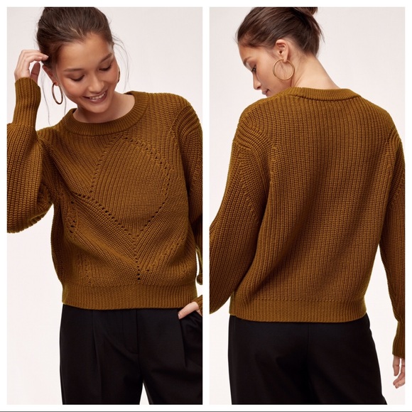 Aritzia Sweaters - Wilfred Serment Oversized Merino Wool Sweater NWOT